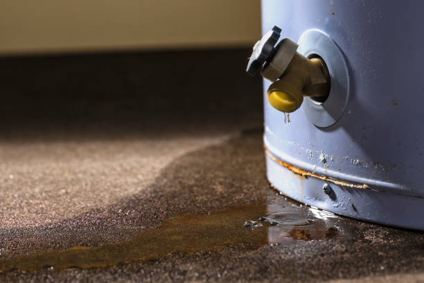 Best Water damage restoration experts  in Mountain City, TN
