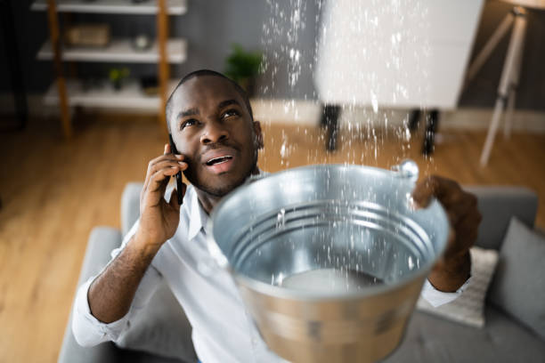 Best 24-hour water damage restoration  in Mountain City, TN