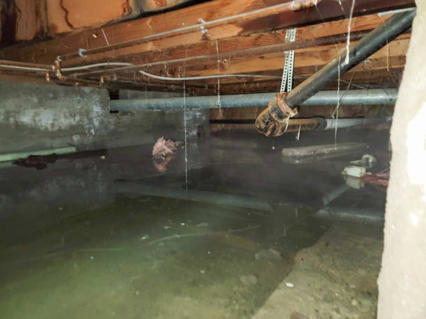  Mountain City, TN Water damage restoration Pros
