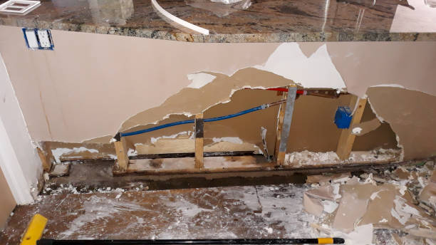 Best Mold removal after water damage  in Mountain City, TN
