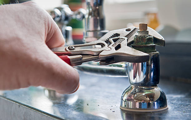 Best Professional water damage repair  in Mountain City, TN