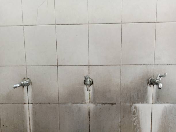 Water damage restoration experts in TN