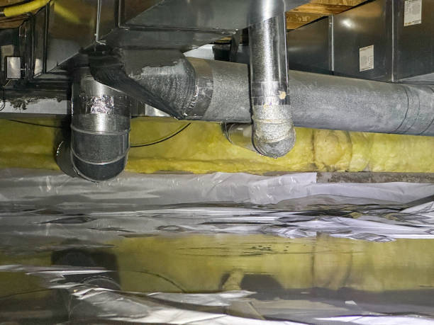Sewage cleanup and water damage restoration in TN