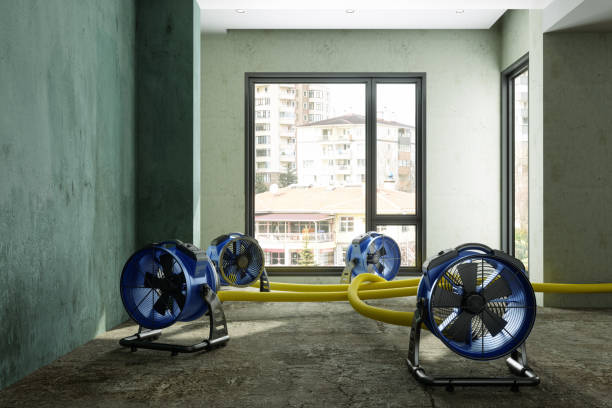 Best Residential water damage restoration  in Mountain City, TN
