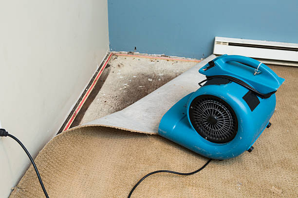 Carpet water damage restoration in TN